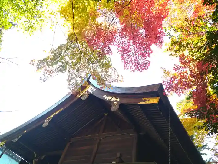 岡崎神社の本殿・本堂