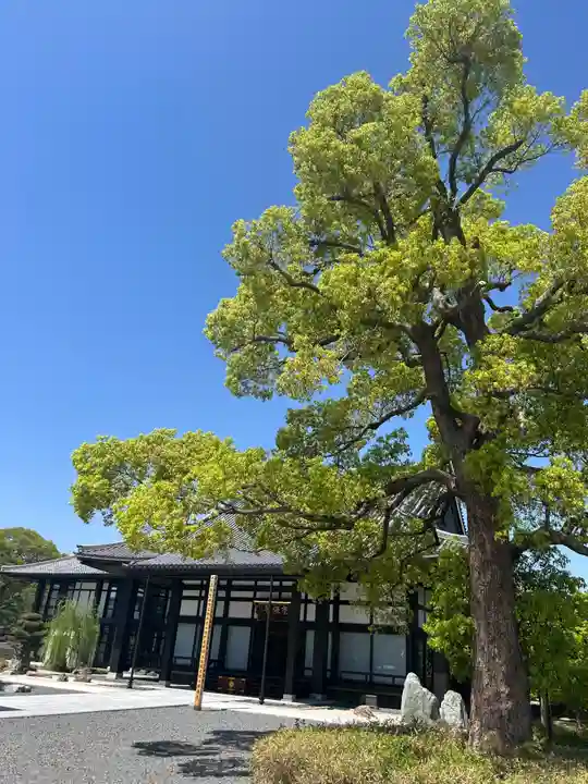 崇禅寺(大阪府)