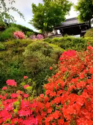 神足寺(東京都)