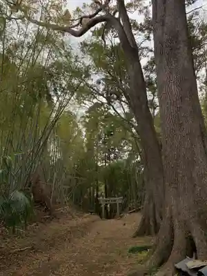 稲荷神社の自然