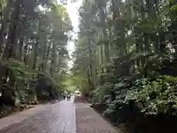 彌彦神社(新潟県)