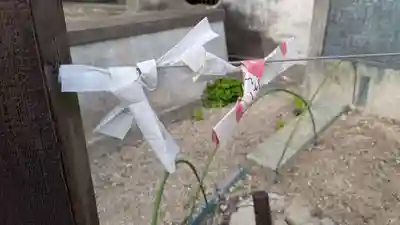 大仏寺のおみくじ