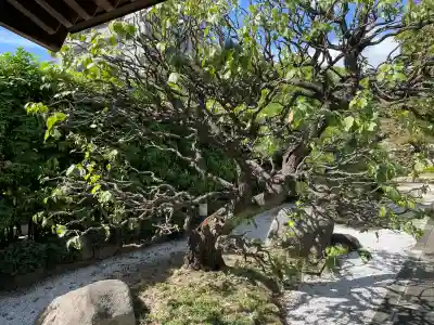 良泉寺(神奈川県)