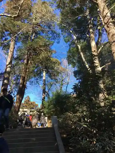 阿夫利神社の自然