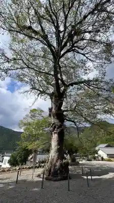 宝蔵寺(三重県)