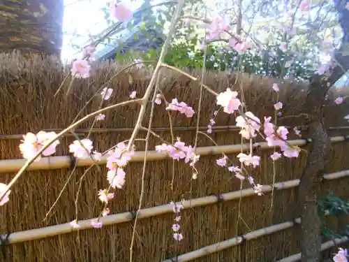 荏柄天神社の自然
