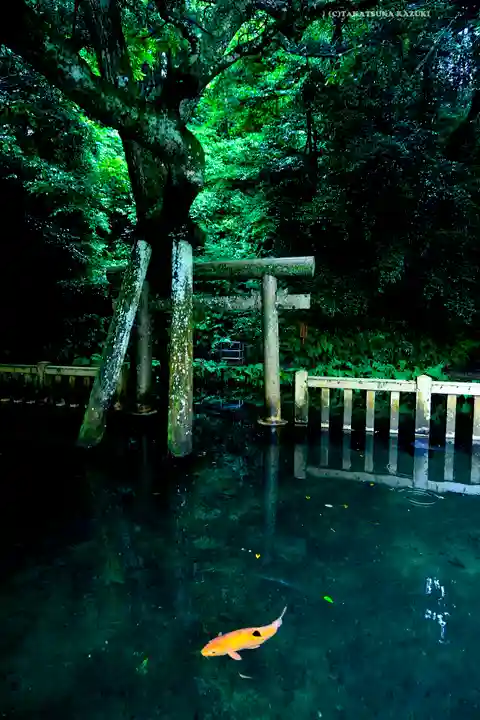 鹿島神宮(茨城県)