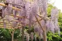 神炊館神社 ⁂奥州須賀川総鎮守⁂の庭園