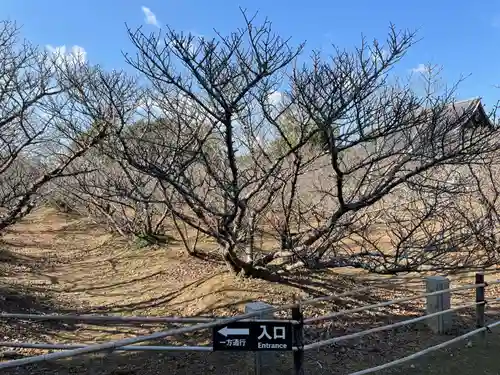 仁和寺(京都府)