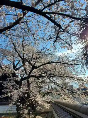 如宝寺(福島県)