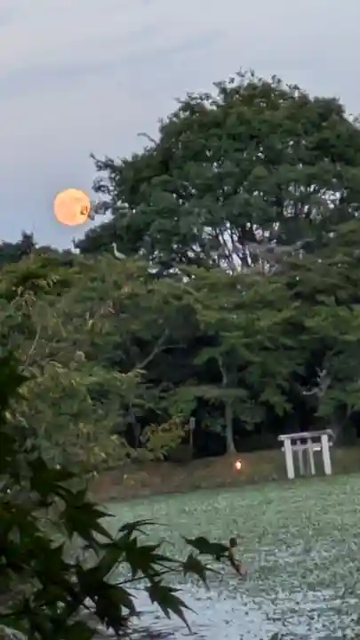 大覚寺(京都府)