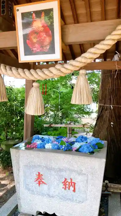 糀谷八幡宮(埼玉県)