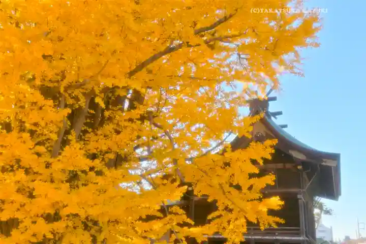 葛飾八幡宮(千葉県)