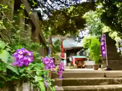 太子堂八幡神社の自然