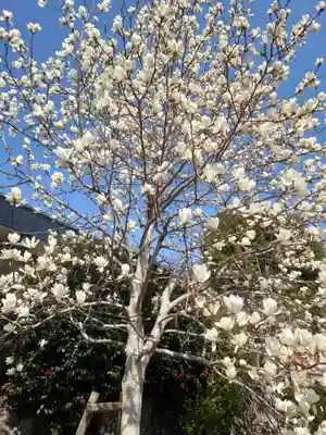 高長寺(神奈川県)