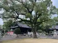 天満宮(楠村町)のその他建物