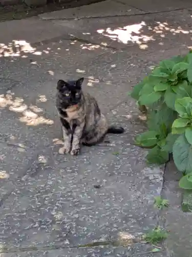 善養寺(東京都)