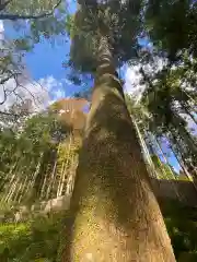 貴船神社の自然