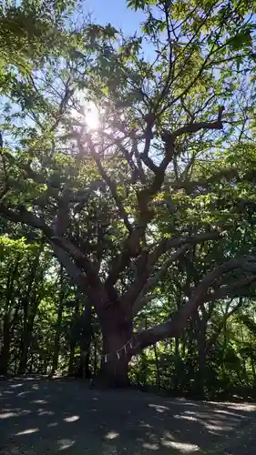 相馬神社(北海道)