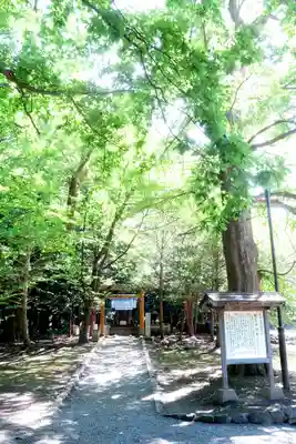北海道神宮の末社・摂社