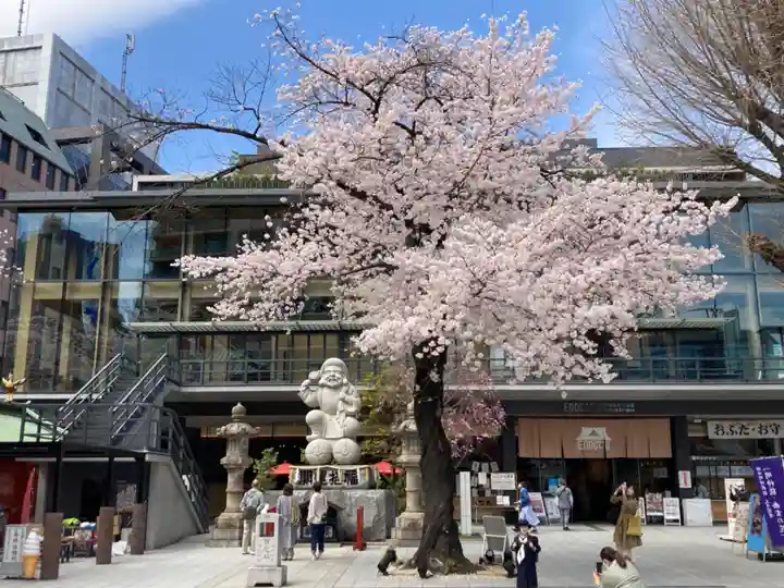 神田神社(神田明神)の自然