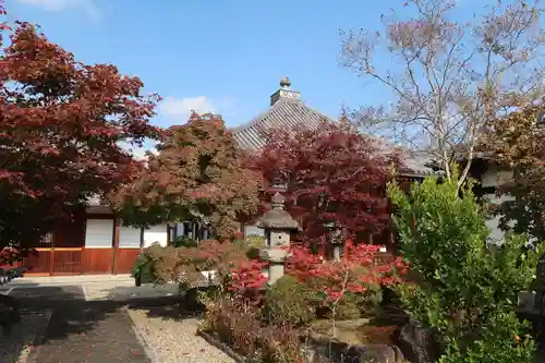 西福寺(京都府)
