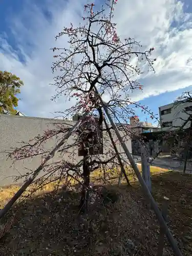 伊勢の国 四天王寺(三重県)