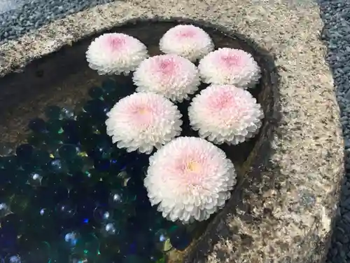 大光寺の手水舎