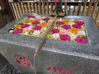 高円寺氷川神社の手水舎
