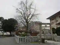 お亀明神社(山口県)