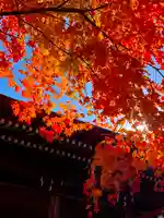 伊達神社の自然