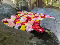 月寒神社の手水舎