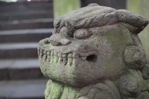 金鑚神社の狛犬