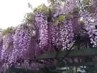 不動明王堂(東新保)(福井県)