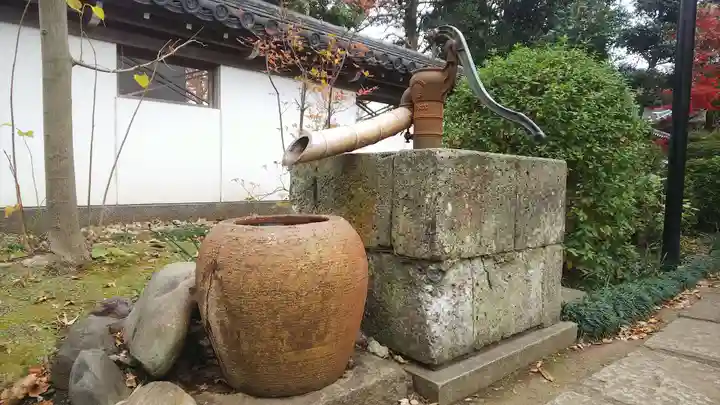 松月院の手水舎