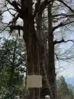 高山不動尊常楽院(埼玉県)