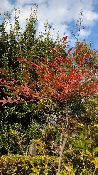醍醐天皇 後山科陵(京都府)