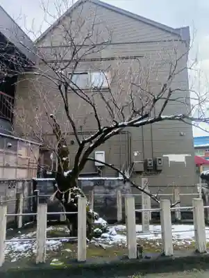 手力雄神社(岐阜県)