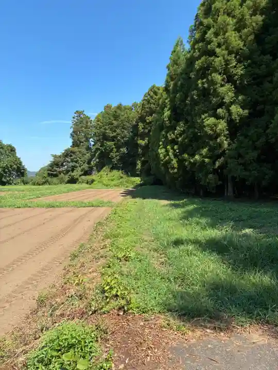 稲積神社(栃木県)