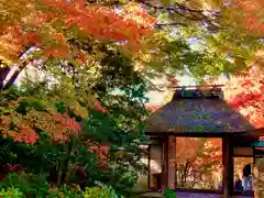 安楽寺(京都府)