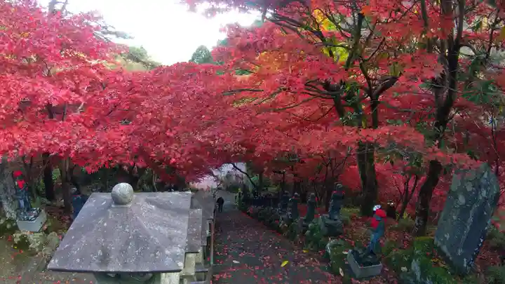 大山寺(神奈川県)