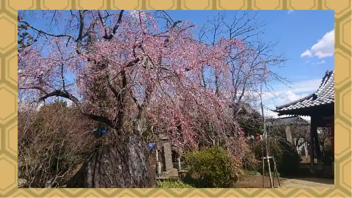 境香取神社(茨城県)