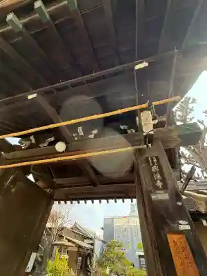 興徳寺の{uncategorized: "未分類", other: "その他", undefined: "問題あり", building: "その他建物", grave: "お墓", sacred_gate: "鳥居", guardian: "狛犬", statue: "像", buddha: "仏像", history: "歴史", nature: "自然", garden: "庭園", animal: "動物", pagoda: "塔", temizu: "手水舎", mountain_gate: "山門・神門", sanctuary: "本殿・本堂", subordinate: "末社・摂社", art: "芸術", scenery: "景色", jizo: "地蔵", ema: "絵馬", goshuin: "御朱印", omikuji: "おみくじ", items: "授与品その他", amulet: "お守り", goshuincho: "御朱印帳", eats: "食事", festival: "お祭り", votive_dance: "神楽", shichigosan: "七五三参", wedding: "結婚式", experience: "体験その他", initially: "初詣", around: "周辺", anti_infection: "感染症対策"}