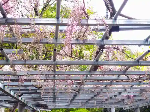 阿智神社の庭園