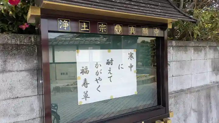 真願寺(滋賀県)