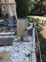 鹿嶋神社の自然