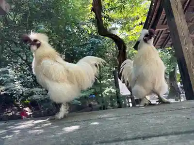 石上神宮(奈良県)