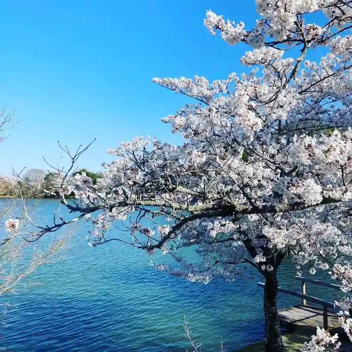 大覚寺(京都府)