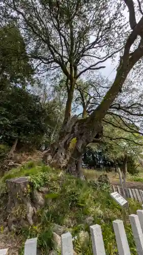 一ノ宮神社(滋賀県)