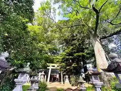 春日神社(奈良県)